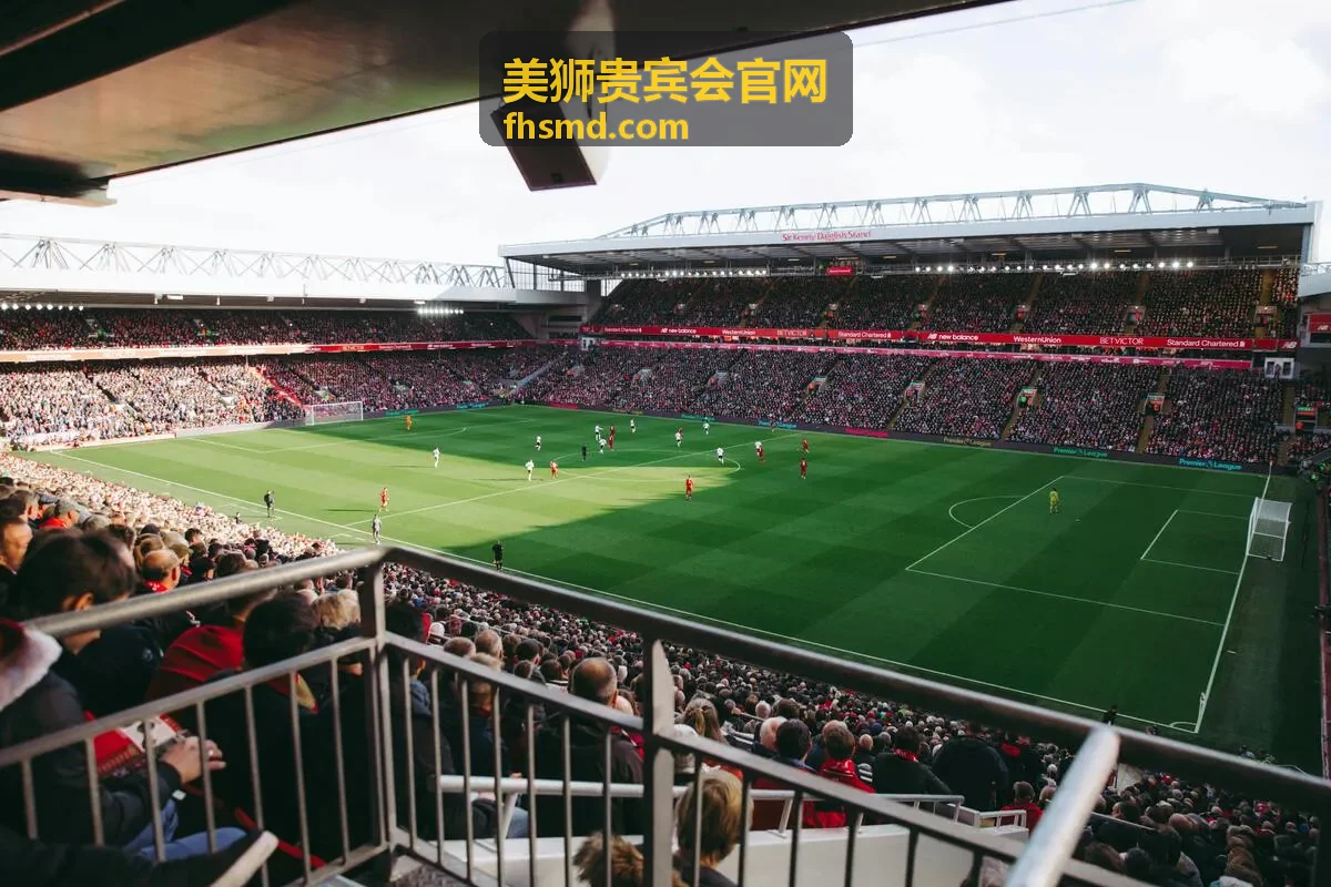 美狮贵宾会高端私享氛围背景